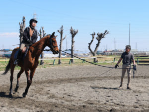 平塚乗馬クラブのレッスンの様子