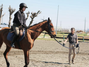 平塚乗馬クラブのレッスンの様子