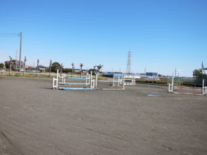 平塚乗馬クラブの馬場