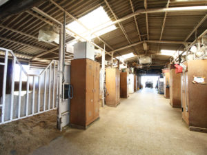 平塚乗馬クラブの厩舎