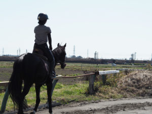 平塚乗馬クラブ馬にのる様子