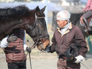 平塚乗馬クラブ指導員の写真