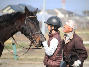 平塚乗馬クラブの馬の写真