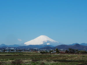 平塚乗馬クラブから見る富士山