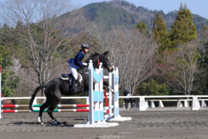 平塚乗馬クラブ試合の様子