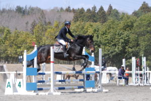 平塚乗馬クラブ試合の様子