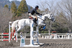 平塚乗馬クラブ試合の様子