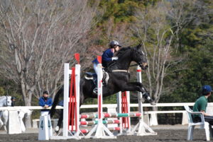 平塚乗馬クラブ試合の様子