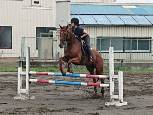 障害飛ぶ馬