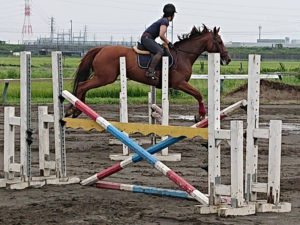 障害飛ぶ馬