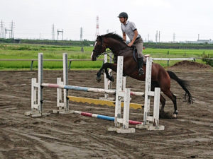 障害飛ぶ馬