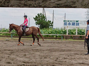 平塚乗馬クラブ馬にのる人