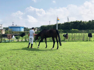 平塚乗馬クラブ試合の様子