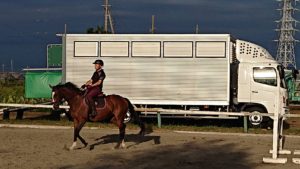 平塚乗馬クラブ馬にのる男性