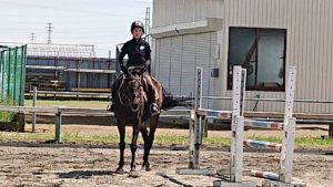 平塚乗馬クラブのレッスン